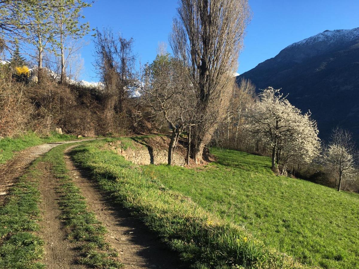 דירות אאוסטה La Casa Del Bosco מראה חיצוני תמונה